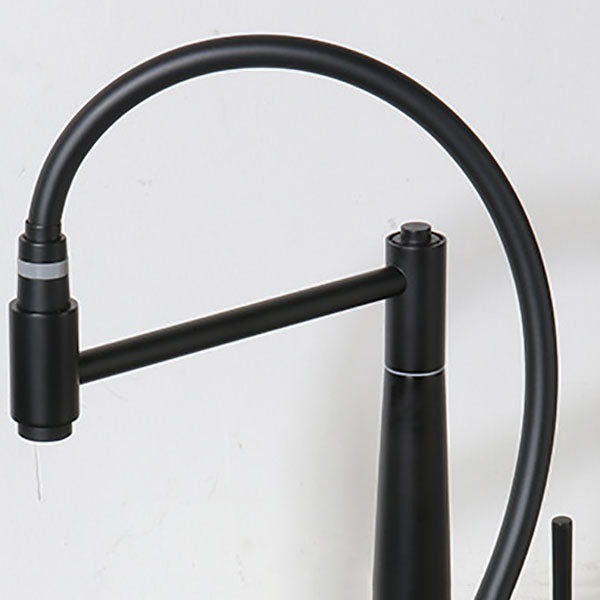 Modern Farmhouse Kitchen Faucet Pull down One Handle High Arch Water Filler Clearhalo 'Home Improvement' 'home_improvement' 'home_improvement_kitchen_faucets' 'Kitchen Faucets' 'Kitchen Remodel & Kitchen Fixtures' 'Kitchen Sinks & Faucet Components' 'kitchen_faucets' 6727183