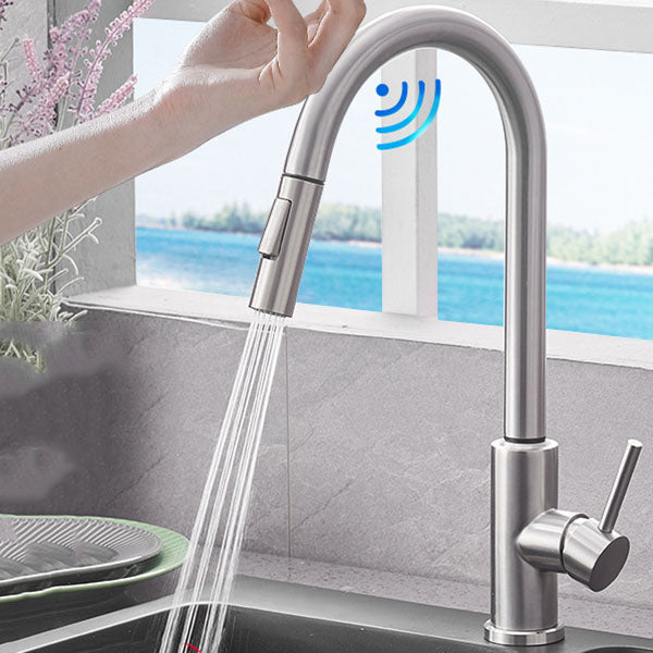 1-Handle Faucet Touch Stainless Steel with Water Dispenser Standard Kitchen Faucet Silver Touch Clearhalo 'Home Improvement' 'home_improvement' 'home_improvement_kitchen_faucets' 'Kitchen Faucets' 'Kitchen Remodel & Kitchen Fixtures' 'Kitchen Sinks & Faucet Components' 'kitchen_faucets' 6742709