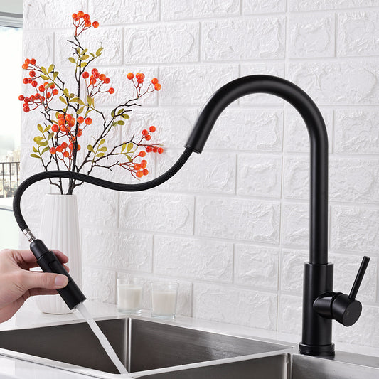 1-Handle Faucet Touch Stainless Steel with Water Dispenser Standard Kitchen Faucet Clearhalo 'Home Improvement' 'home_improvement' 'home_improvement_kitchen_faucets' 'Kitchen Faucets' 'Kitchen Remodel & Kitchen Fixtures' 'Kitchen Sinks & Faucet Components' 'kitchen_faucets' 6742711