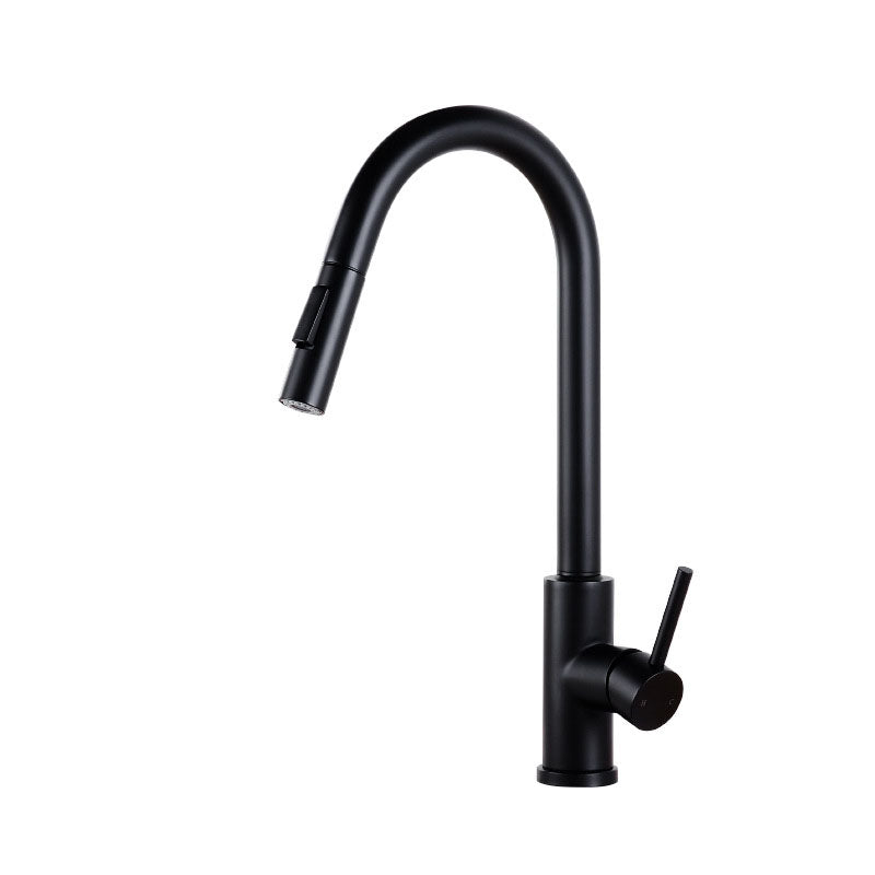 1-Handle Faucet Touch Stainless Steel with Water Dispenser Standard Kitchen Faucet Clearhalo 'Home Improvement' 'home_improvement' 'home_improvement_kitchen_faucets' 'Kitchen Faucets' 'Kitchen Remodel & Kitchen Fixtures' 'Kitchen Sinks & Faucet Components' 'kitchen_faucets' 6742720