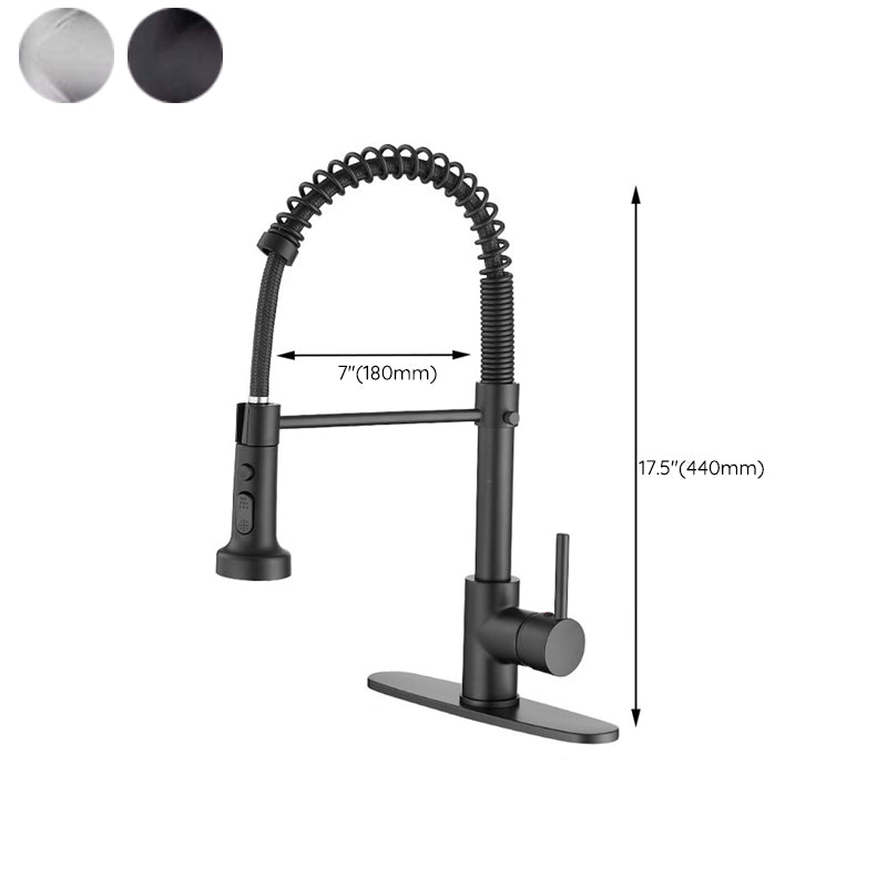 Modern Farmhouse Spring Spout One Handle Kitchen Standard Faucet High Arch Water Filler Clearhalo 'Home Improvement' 'home_improvement' 'home_improvement_kitchen_faucets' 'Kitchen Faucets' 'Kitchen Remodel & Kitchen Fixtures' 'Kitchen Sinks & Faucet Components' 'kitchen_faucets' 6742895