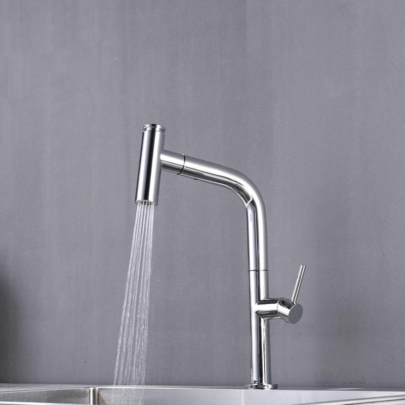 Modern Pull Down Single Handle Kitchen Faucet 1 Hold Faucet with Pull Out Sprayer Chrome Clearhalo 'Home Improvement' 'home_improvement' 'home_improvement_kitchen_faucets' 'Kitchen Faucets' 'Kitchen Remodel & Kitchen Fixtures' 'Kitchen Sinks & Faucet Components' 'kitchen_faucets' 6742898