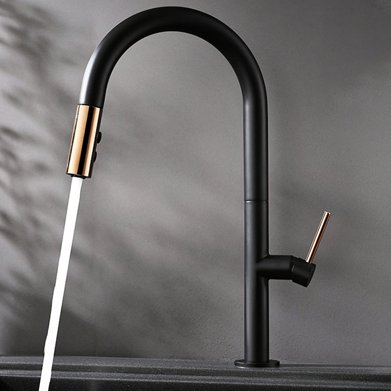Pull Down Kitchen Faucet Single Handle 2-Function Faucet with Pull Out Sprayer Black Clearhalo 'Home Improvement' 'home_improvement' 'home_improvement_kitchen_faucets' 'Kitchen Faucets' 'Kitchen Remodel & Kitchen Fixtures' 'Kitchen Sinks & Faucet Components' 'kitchen_faucets' 6756435