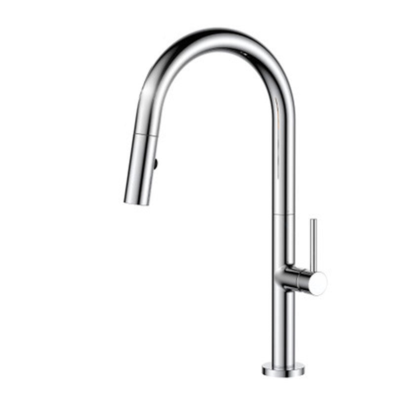 Pull Down Kitchen Faucet Single Handle 2-Function Faucet with Pull Out Sprayer Silver Clearhalo 'Home Improvement' 'home_improvement' 'home_improvement_kitchen_faucets' 'Kitchen Faucets' 'Kitchen Remodel & Kitchen Fixtures' 'Kitchen Sinks & Faucet Components' 'kitchen_faucets' 6756436