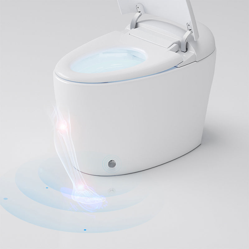 Modern Concealed Tank Urine Toilet One Piece Floor Mount Toilet Bowl with Toilet Seat Clearhalo 'Bathroom Remodel & Bathroom Fixtures' 'Home Improvement' 'home_improvement' 'home_improvement_toilets' 'Toilets & Bidets' 'Toilets' 6764891