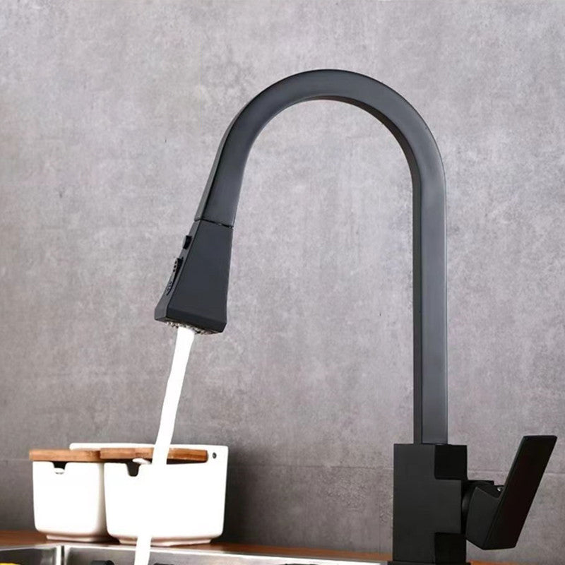 Traditional 1-Handle Faucet Copper with Pull out Sprayer with Water Dispenser Faucet Clearhalo 'Home Improvement' 'home_improvement' 'home_improvement_kitchen_faucets' 'Kitchen Faucets' 'Kitchen Remodel & Kitchen Fixtures' 'Kitchen Sinks & Faucet Components' 'kitchen_faucets' 6771510