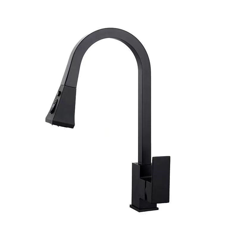 Traditional 1-Handle Faucet Copper with Pull out Sprayer with Water Dispenser Faucet Black Supply Line Not Included Clearhalo 'Home Improvement' 'home_improvement' 'home_improvement_kitchen_faucets' 'Kitchen Faucets' 'Kitchen Remodel & Kitchen Fixtures' 'Kitchen Sinks & Faucet Components' 'kitchen_faucets' 6771511