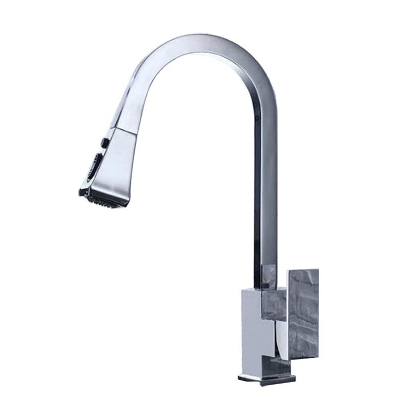 Traditional 1-Handle Faucet Copper with Pull out Sprayer with Water Dispenser Faucet Silver Clearhalo 'Home Improvement' 'home_improvement' 'home_improvement_kitchen_faucets' 'Kitchen Faucets' 'Kitchen Remodel & Kitchen Fixtures' 'Kitchen Sinks & Faucet Components' 'kitchen_faucets' 6771512
