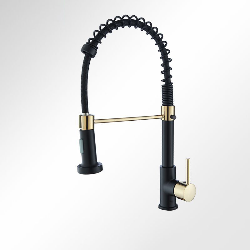 Modern Farmhouse Spring Spout One Lever Kitchen Faucet High Arch Water Filler Black Clearhalo 'Home Improvement' 'home_improvement' 'home_improvement_kitchen_faucets' 'Kitchen Faucets' 'Kitchen Remodel & Kitchen Fixtures' 'Kitchen Sinks & Faucet Components' 'kitchen_faucets' 6771535