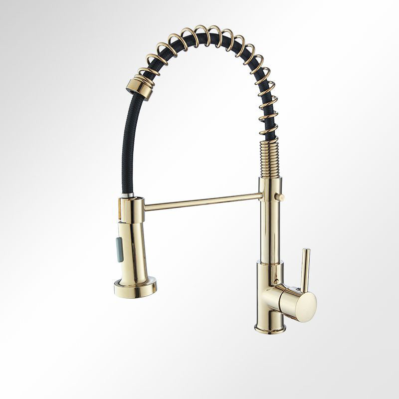 Modern Farmhouse Spring Spout One Lever Kitchen Faucet High Arch Water Filler Black/ Gold Clearhalo 'Home Improvement' 'home_improvement' 'home_improvement_kitchen_faucets' 'Kitchen Faucets' 'Kitchen Remodel & Kitchen Fixtures' 'Kitchen Sinks & Faucet Components' 'kitchen_faucets' 6771536