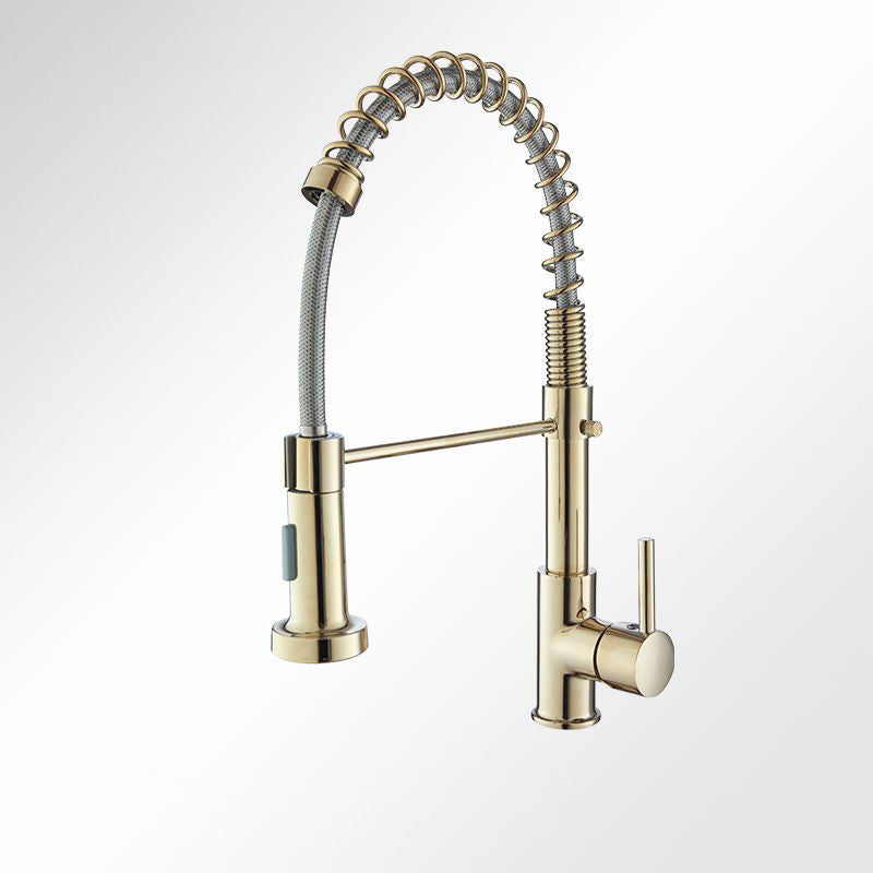 Modern Farmhouse Spring Spout One Lever Kitchen Faucet High Arch Water Filler Clearhalo 'Home Improvement' 'home_improvement' 'home_improvement_kitchen_faucets' 'Kitchen Faucets' 'Kitchen Remodel & Kitchen Fixtures' 'Kitchen Sinks & Faucet Components' 'kitchen_faucets' 6771544