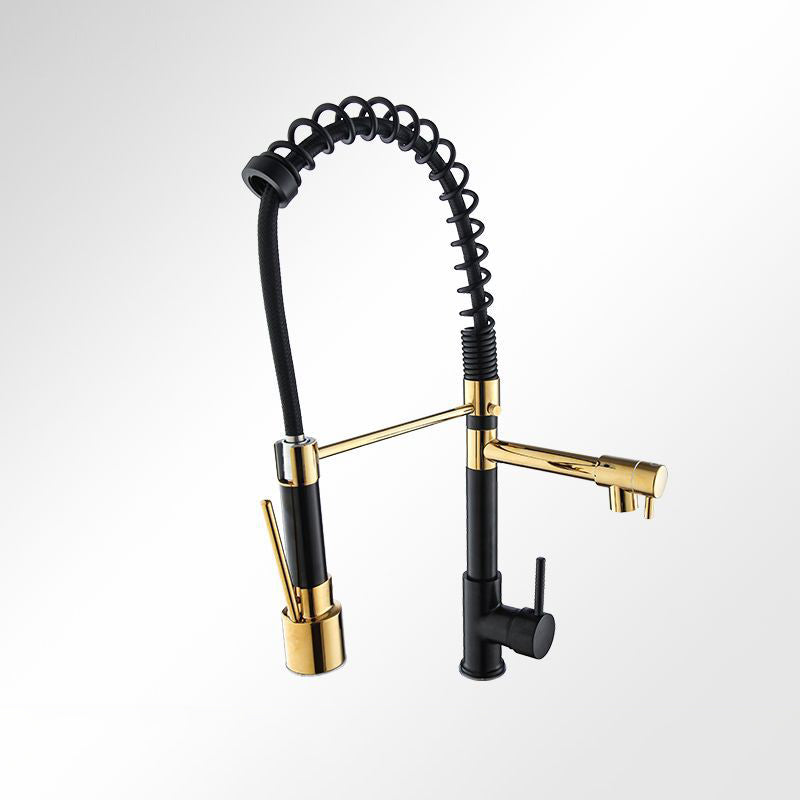 Modern Farmhouse Faucet Spring Spout Double Handles Kitchen Faucet High Arch Water Filler Black Gold Clearhalo 'Home Improvement' 'home_improvement' 'home_improvement_kitchen_faucets' 'Kitchen Faucets' 'Kitchen Remodel & Kitchen Fixtures' 'Kitchen Sinks & Faucet Components' 'kitchen_faucets' 6771598