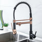 Modern Farmhouse Faucet Spring Spout Double Handles Kitchen Faucet High Arch Water Filler Clearhalo 'Home Improvement' 'home_improvement' 'home_improvement_kitchen_faucets' 'Kitchen Faucets' 'Kitchen Remodel & Kitchen Fixtures' 'Kitchen Sinks & Faucet Components' 'kitchen_faucets' 6771602