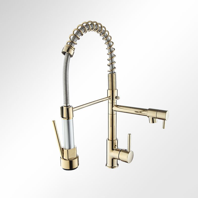 Modern Farmhouse Faucet Spring Spout Double Handles Kitchen Faucet High Arch Water Filler Champagne Gold Clearhalo 'Home Improvement' 'home_improvement' 'home_improvement_kitchen_faucets' 'Kitchen Faucets' 'Kitchen Remodel & Kitchen Fixtures' 'Kitchen Sinks & Faucet Components' 'kitchen_faucets' 6771603