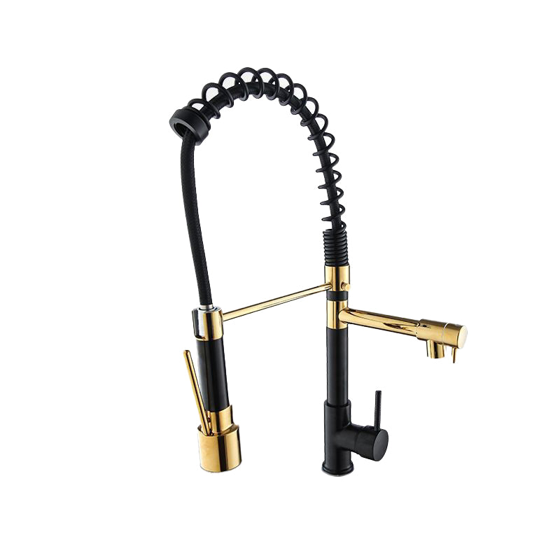 Modern Farmhouse Faucet Spring Spout Double Handles Kitchen Faucet High Arch Water Filler Clearhalo 'Home Improvement' 'home_improvement' 'home_improvement_kitchen_faucets' 'Kitchen Faucets' 'Kitchen Remodel & Kitchen Fixtures' 'Kitchen Sinks & Faucet Components' 'kitchen_faucets' 6771605