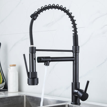 Modern Farmhouse Faucet Spout Double Levers Kitchen Faucet High Arch Filler with Sprayer Black Clearhalo 'Home Improvement' 'home_improvement' 'home_improvement_kitchen_faucets' 'Kitchen Faucets' 'Kitchen Remodel & Kitchen Fixtures' 'Kitchen Sinks & Faucet Components' 'kitchen_faucets' 6771630