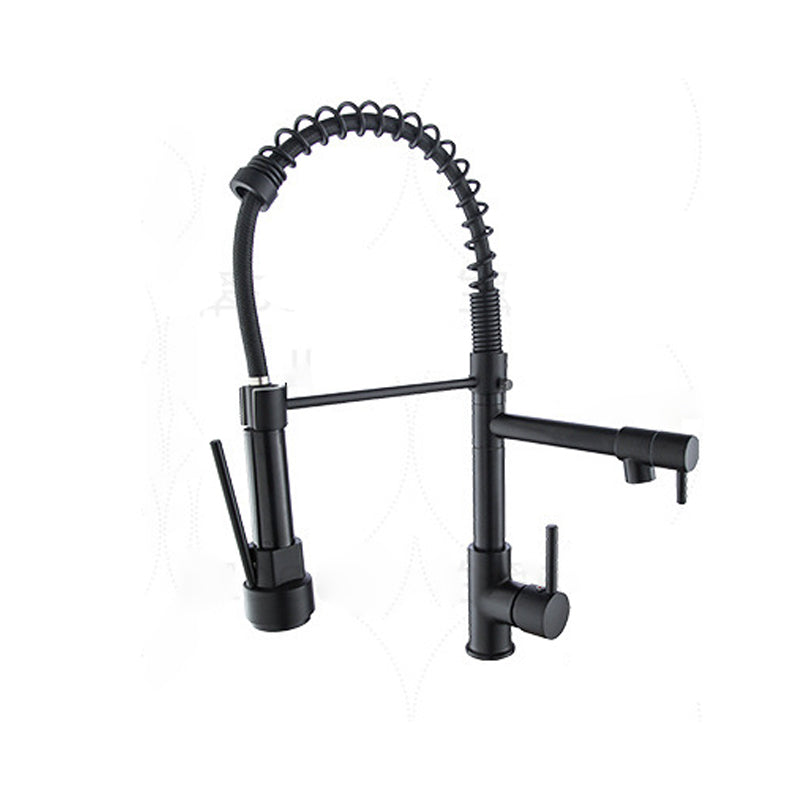 Modern Farmhouse Faucet Spout Double Levers Kitchen Faucet High Arch Filler with Sprayer Clearhalo 'Home Improvement' 'home_improvement' 'home_improvement_kitchen_faucets' 'Kitchen Faucets' 'Kitchen Remodel & Kitchen Fixtures' 'Kitchen Sinks & Faucet Components' 'kitchen_faucets' 6771634