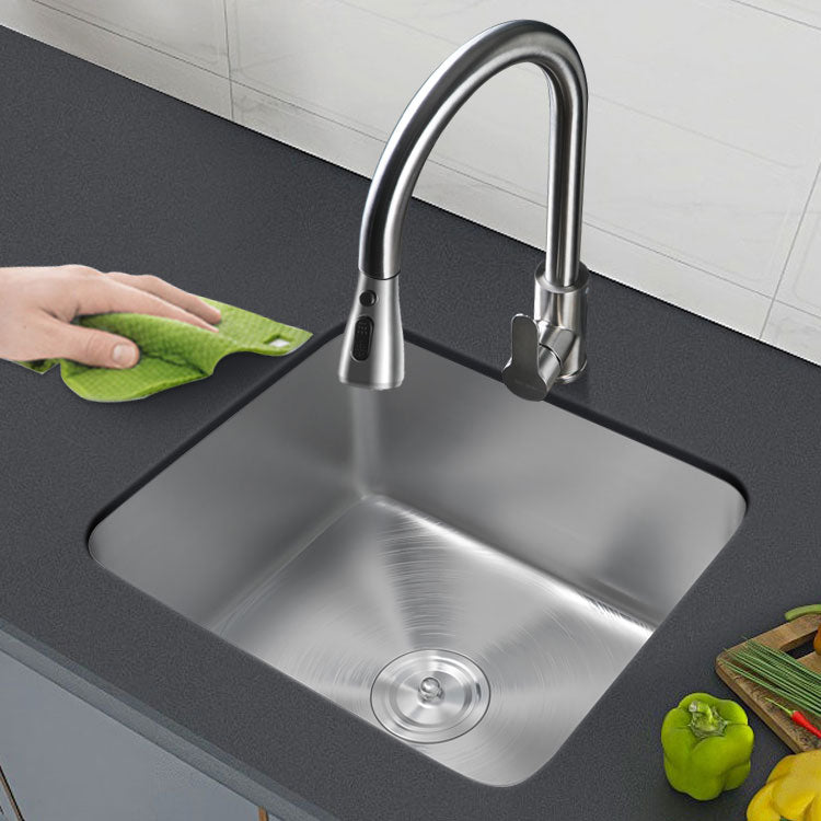 Contemporary Style Kitchen Sink Stainless Steel Undermount Kitchen Sink 17"L x 15"W x 8"H Sink with Faucet Pull Out Faucet Clearhalo 'Home Improvement' 'home_improvement' 'home_improvement_kitchen_sinks' 'Kitchen Remodel & Kitchen Fixtures' 'Kitchen Sinks & Faucet Components' 'Kitchen Sinks' 'kitchen_sinks' 6772082