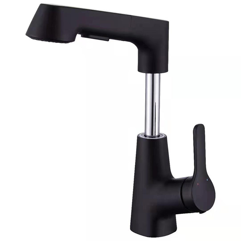 Contemporary Kitchen Faucet Single Handle 2-Function Faucet with Pull out Sprayer Black Clearhalo 'Home Improvement' 'home_improvement' 'home_improvement_kitchen_faucets' 'Kitchen Faucets' 'Kitchen Remodel & Kitchen Fixtures' 'Kitchen Sinks & Faucet Components' 'kitchen_faucets' 6786699