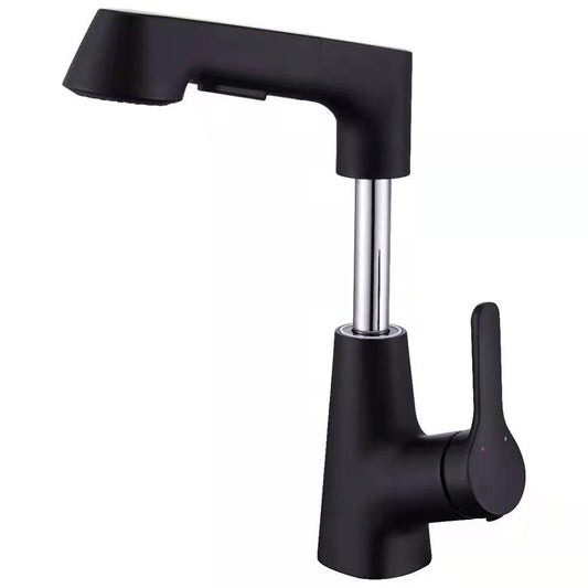Contemporary Kitchen Faucet Single Handle 2-Function Faucet with Pull out Sprayer Clearhalo 'Home Improvement' 'home_improvement' 'home_improvement_kitchen_faucets' 'Kitchen Faucets' 'Kitchen Remodel & Kitchen Fixtures' 'Kitchen Sinks & Faucet Components' 'kitchen_faucets' 6786704