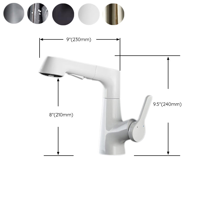 Contemporary Kitchen Faucet Single Handle 2-Function Faucet with Pull out Sprayer Clearhalo 'Home Improvement' 'home_improvement' 'home_improvement_kitchen_faucets' 'Kitchen Faucets' 'Kitchen Remodel & Kitchen Fixtures' 'Kitchen Sinks & Faucet Components' 'kitchen_faucets' 6786709