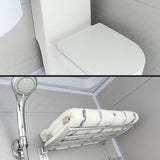 Sliding Shower Enclosure Framed Shower Enclosure with Tempered Glass Clearhalo 'Bathroom Remodel & Bathroom Fixtures' 'Home Improvement' 'home_improvement' 'home_improvement_shower_stalls_enclosures' 'Shower Stalls & Enclosures' 'shower_stalls_enclosures' 'Showers & Bathtubs' 6787283