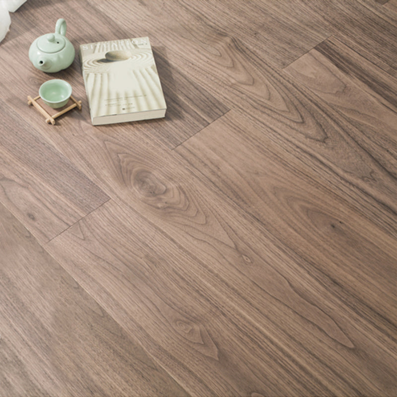 Light Color Wooden Laminate Flooring Modern Style Laminate Flooring Black Walnut Clearhalo 'Flooring 'Home Improvement' 'home_improvement' 'home_improvement_laminate_flooring' 'Laminate Flooring' 'laminate_flooring' Walls and Ceiling' 6818993