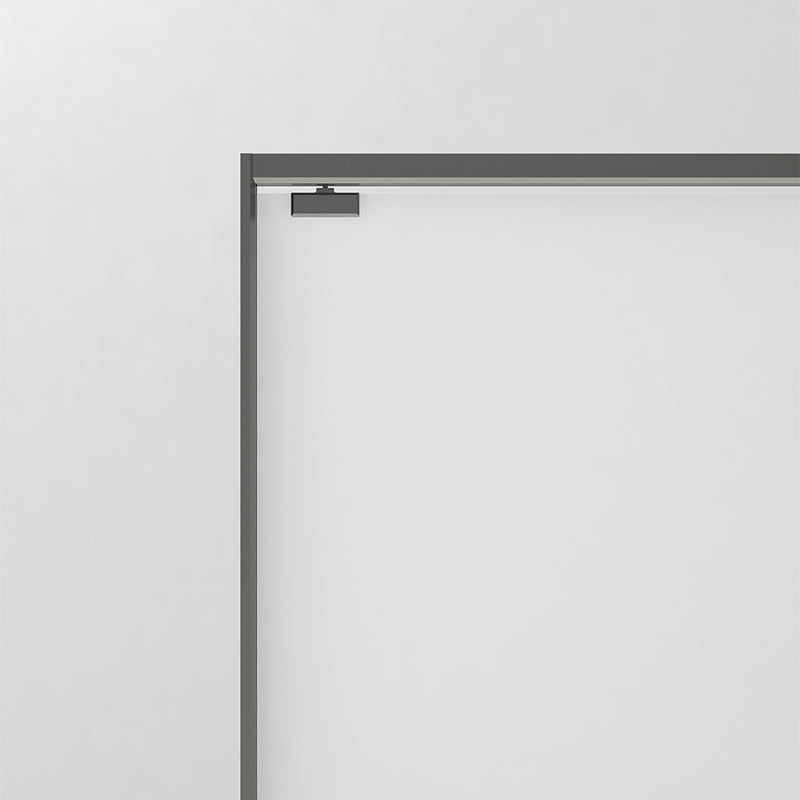 Gray Semi Frameless Narrow Bezel Single Sliding Glass Shower Door Clearhalo 'Bathroom Remodel & Bathroom Fixtures' 'Home Improvement' 'home_improvement' 'home_improvement_shower_tub_doors' 'Shower and Tub Doors' 'shower_tub_doors' 'Showers & Bathtubs' 6850726