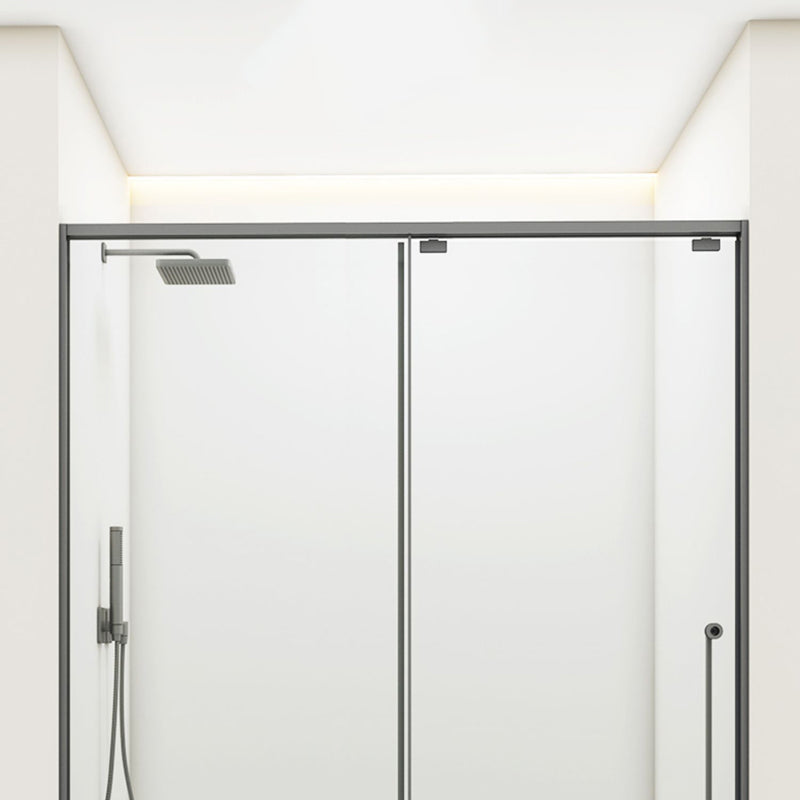 Gray Semi Frameless Stainless Steel Single Move Tempered Glass Shower Door Clearhalo 'Bathroom Remodel & Bathroom Fixtures' 'Home Improvement' 'home_improvement' 'home_improvement_shower_tub_doors' 'Shower and Tub Doors' 'shower_tub_doors' 'Showers & Bathtubs' 6850829
