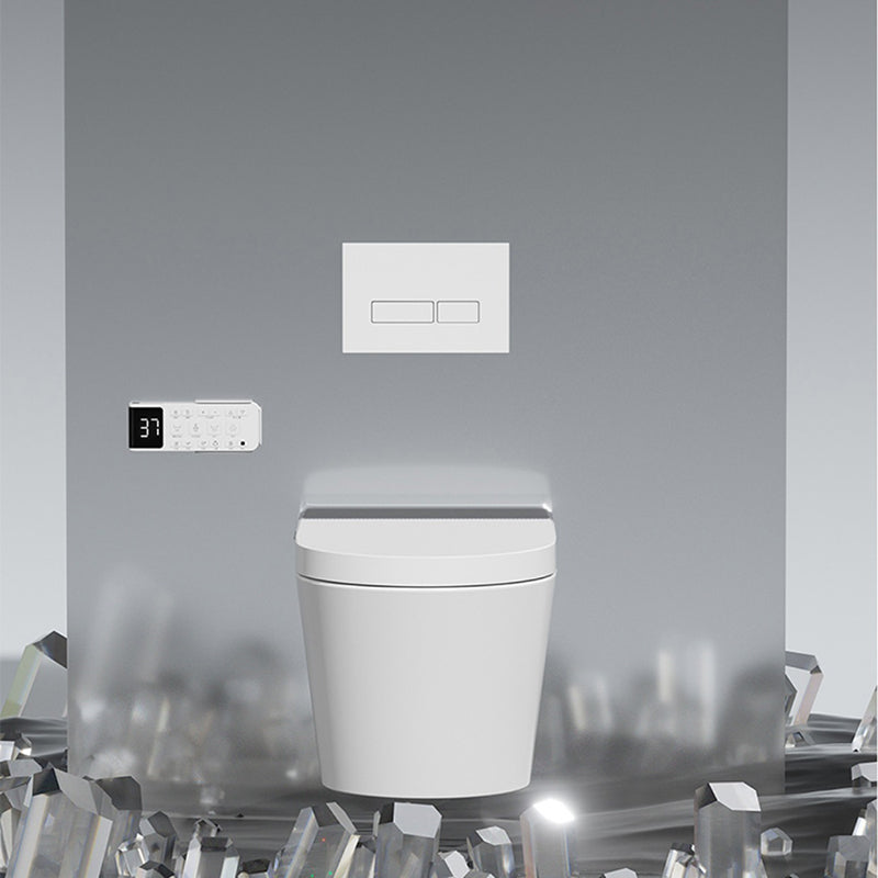 Toilet Bidet and Seat Antimicrobial Dryer Wall Mounted Bidet Clearhalo 'Bathroom Remodel & Bathroom Fixtures' 'Bidets' 'Home Improvement' 'home_improvement' 'home_improvement_bidets' 'Toilets & Bidets' 6872369