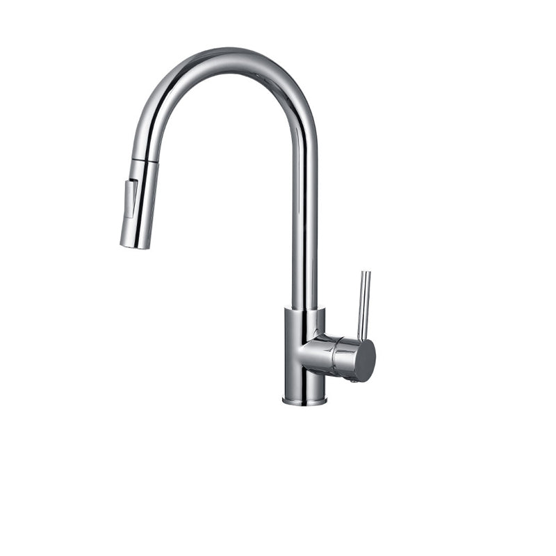 Gooseneck Kitchen Sink Faucet Swivel Spout with Pull down Sprayer Silver Storage Not Included Clearhalo 'Home Improvement' 'home_improvement' 'home_improvement_kitchen_faucets' 'Kitchen Faucets' 'Kitchen Remodel & Kitchen Fixtures' 'Kitchen Sinks & Faucet Components' 'kitchen_faucets' 6872427