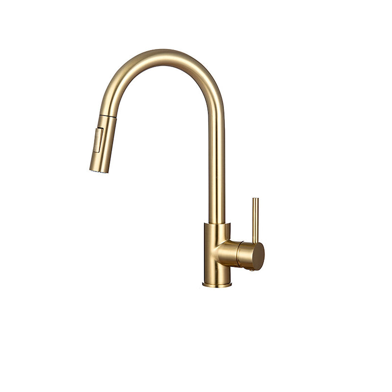Gooseneck Kitchen Sink Faucet Swivel Spout with Pull down Sprayer Gold Storage Not Included Clearhalo 'Home Improvement' 'home_improvement' 'home_improvement_kitchen_faucets' 'Kitchen Faucets' 'Kitchen Remodel & Kitchen Fixtures' 'Kitchen Sinks & Faucet Components' 'kitchen_faucets' 6872429