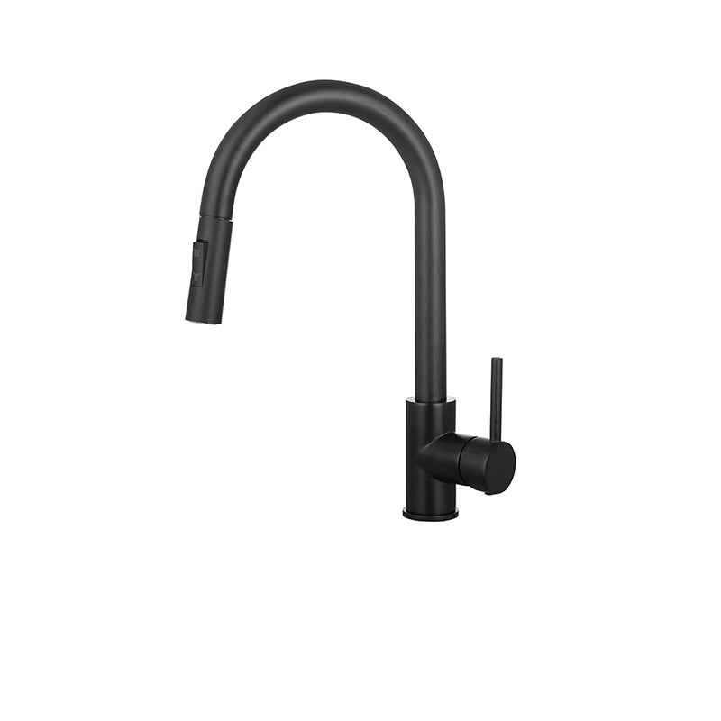 Gooseneck Kitchen Sink Faucet Swivel Spout with Pull down Sprayer Black Storage Not Included Clearhalo 'Home Improvement' 'home_improvement' 'home_improvement_kitchen_faucets' 'Kitchen Faucets' 'Kitchen Remodel & Kitchen Fixtures' 'Kitchen Sinks & Faucet Components' 'kitchen_faucets' 6872435
