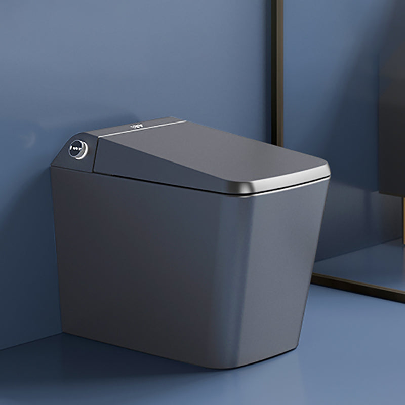 Elongated Floor Mount Bidet/Wall Hung Toilet with Heated Seat Grey Without Legs Clearhalo 'Bathroom Remodel & Bathroom Fixtures' 'Bidets' 'Home Improvement' 'home_improvement' 'home_improvement_bidets' 'Toilets & Bidets' 6887424