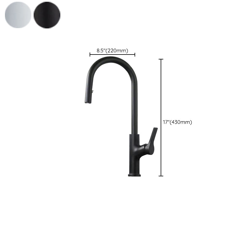 Contemporary Kitchen Sink Faucet Copper Swivel Spout with Pull out Faucet Clearhalo 'Home Improvement' 'home_improvement' 'home_improvement_kitchen_faucets' 'Kitchen Faucets' 'Kitchen Remodel & Kitchen Fixtures' 'Kitchen Sinks & Faucet Components' 'kitchen_faucets' 6890178