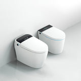 White Floor Mount Bidet Elongated Floor Standing Bidet with Unlimited Warm Water Clearhalo 'Bathroom Remodel & Bathroom Fixtures' 'Bidets' 'Home Improvement' 'home_improvement' 'home_improvement_bidets' 'Toilets & Bidets' 6895098