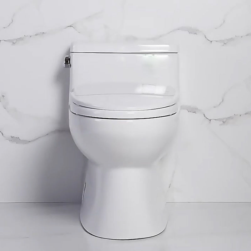 Traditional One Piece Flush Toilet Floor Mounted White Toilet Bowl for Bathroom UF 12" Clearhalo 'Bathroom Remodel & Bathroom Fixtures' 'Home Improvement' 'home_improvement' 'home_improvement_toilets' 'Toilets & Bidets' 'Toilets' 6921486