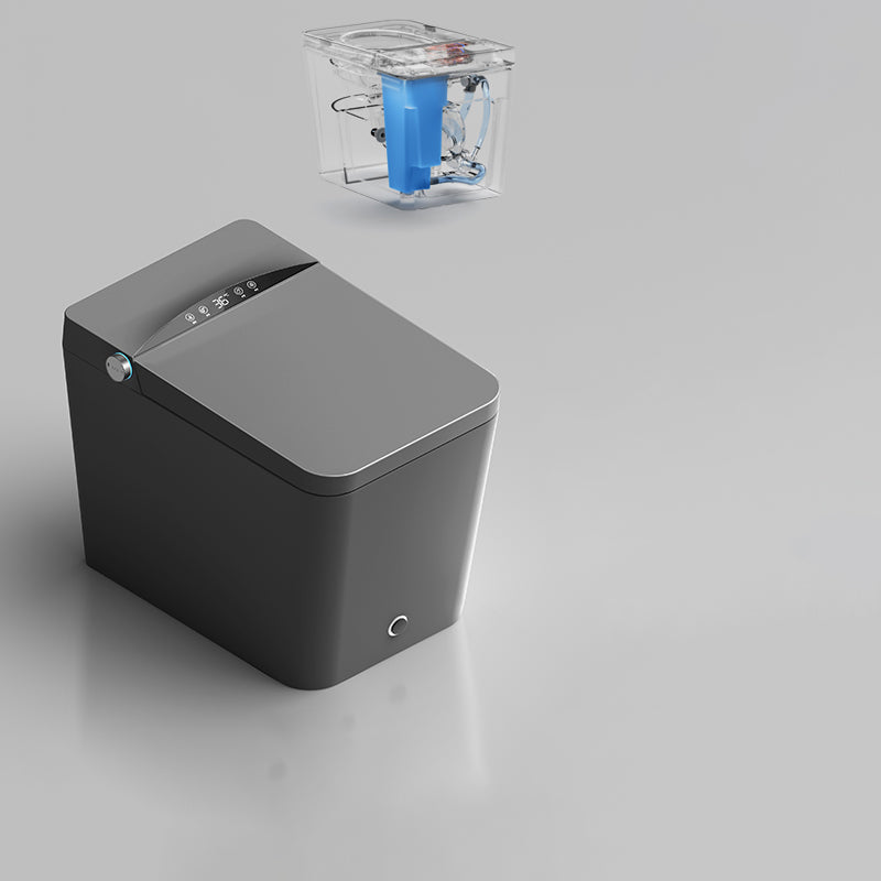 Floor Mount Bidet Elongated Floor Standing Bidet with Heated Seat Grey Clearhalo 'Bathroom Remodel & Bathroom Fixtures' 'Bidets' 'Home Improvement' 'home_improvement' 'home_improvement_bidets' 'Toilets & Bidets' 6942009