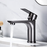 Stainless Steel Bathroom Lavatory Faucet 1 Handle Hot and Cold Basin Faucet with Hoses Clearhalo 'Bathroom Remodel & Bathroom Fixtures' 'Bathroom Sink Faucets' 'Bathroom Sinks & Faucet Components' 'bathroom_sink_faucets' 'Home Improvement' 'home_improvement' 'home_improvement_bathroom_sink_faucets' 6951891