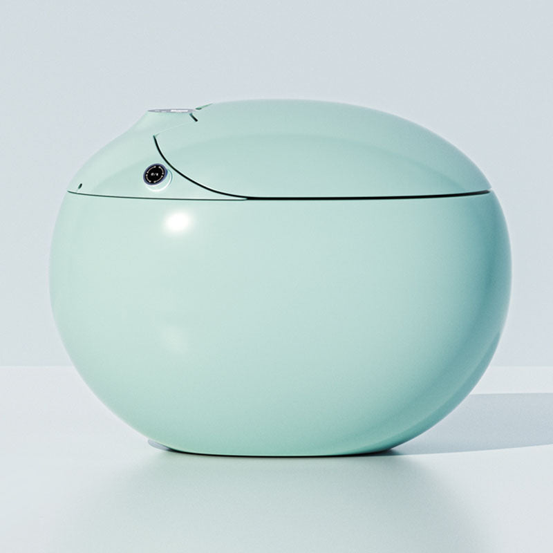 Round Floor Mount Bidet in Green Stain Resistant Deodorizing Smart Toilet Automatic Lid Clearhalo 'Bathroom Remodel & Bathroom Fixtures' 'Bidets' 'Home Improvement' 'home_improvement' 'home_improvement_bidets' 'Toilets & Bidets' 6953053