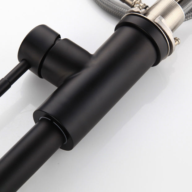 Kitchen Faucet Cold and Hot Controlled Rod Handle Stainless Black Kitchen Faucet Clearhalo 'Home Improvement' 'home_improvement' 'home_improvement_kitchen_faucets' 'Kitchen Faucets' 'Kitchen Remodel & Kitchen Fixtures' 'Kitchen Sinks & Faucet Components' 'kitchen_faucets' 6976662