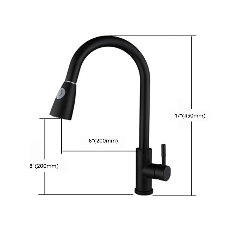 Kitchen Faucet Cold and Hot Controlled Rod Handle Stainless Black Kitchen Faucet Clearhalo 'Home Improvement' 'home_improvement' 'home_improvement_kitchen_faucets' 'Kitchen Faucets' 'Kitchen Remodel & Kitchen Fixtures' 'Kitchen Sinks & Faucet Components' 'kitchen_faucets' 6976664