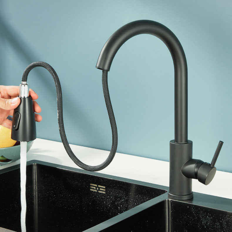 Contemporary Gooseneck Faucet One Handle Kitchen Faucet High Arch Water Filler Stainless Steel Black Dual Mode Clearhalo 'Home Improvement' 'home_improvement' 'home_improvement_kitchen_faucets' 'Kitchen Faucets' 'Kitchen Remodel & Kitchen Fixtures' 'Kitchen Sinks & Faucet Components' 'kitchen_faucets' 6977842