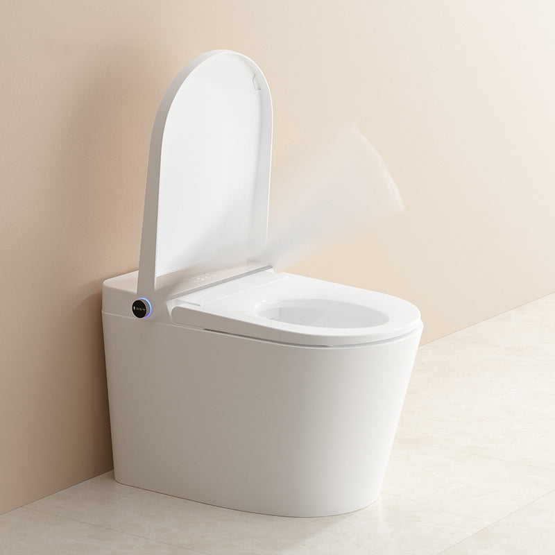 Modern Floor Standing Bidet Elongated Antimicrobial Floor Mount Bidet Clearhalo 'Bathroom Remodel & Bathroom Fixtures' 'Bidets' 'Home Improvement' 'home_improvement' 'home_improvement_bidets' 'Toilets & Bidets' 6996749