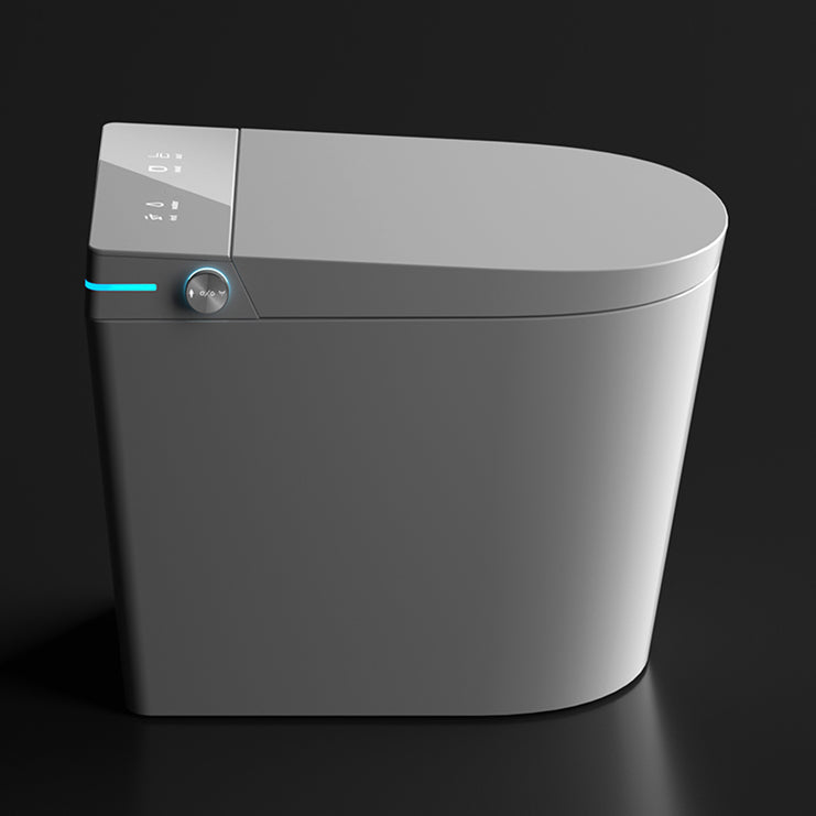 Contemporary Ceramic Elongated Heated Seat Floor Standing Bidet Clearhalo 'Bathroom Remodel & Bathroom Fixtures' 'Bidets' 'Home Improvement' 'home_improvement' 'home_improvement_bidets' 'Toilets & Bidets' 6996760