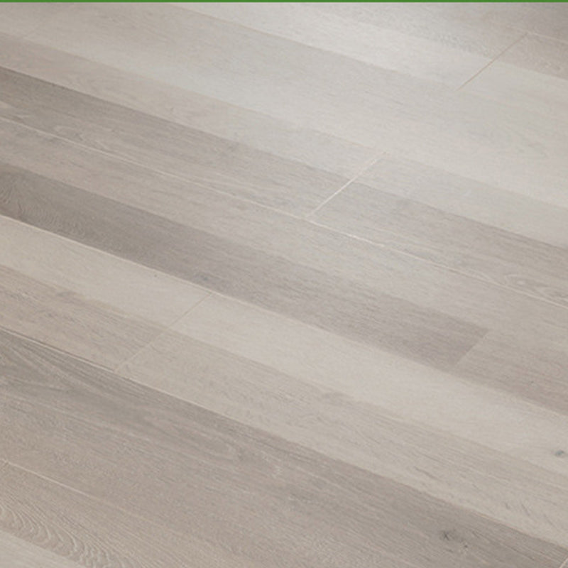 Pine Wood Laminate Rectangular Click Lock Scratch Resistant Indoor Modern Laminate Floor Clearhalo 'Flooring 'Home Improvement' 'home_improvement' 'home_improvement_laminate_flooring' 'Laminate Flooring' 'laminate_flooring' Walls and Ceiling' 7034161