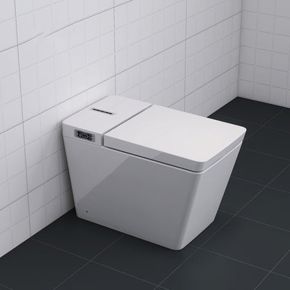 Contemporary Floor Mount Bidet Elongated Ceramic Floor Standing Bidet White Clearhalo 'Bathroom Remodel & Bathroom Fixtures' 'Bidets' 'Home Improvement' 'home_improvement' 'home_improvement_bidets' 'Toilets & Bidets' 7037070