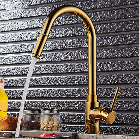 Single Hole Kitchen Faucet Metal Pull down Sprayer Kitchen Faucet with Lever Handle Clearhalo 'Home Improvement' 'home_improvement' 'home_improvement_kitchen_faucets' 'Kitchen Faucets' 'Kitchen Remodel & Kitchen Fixtures' 'Kitchen Sinks & Faucet Components' 'kitchen_faucets' 7050784