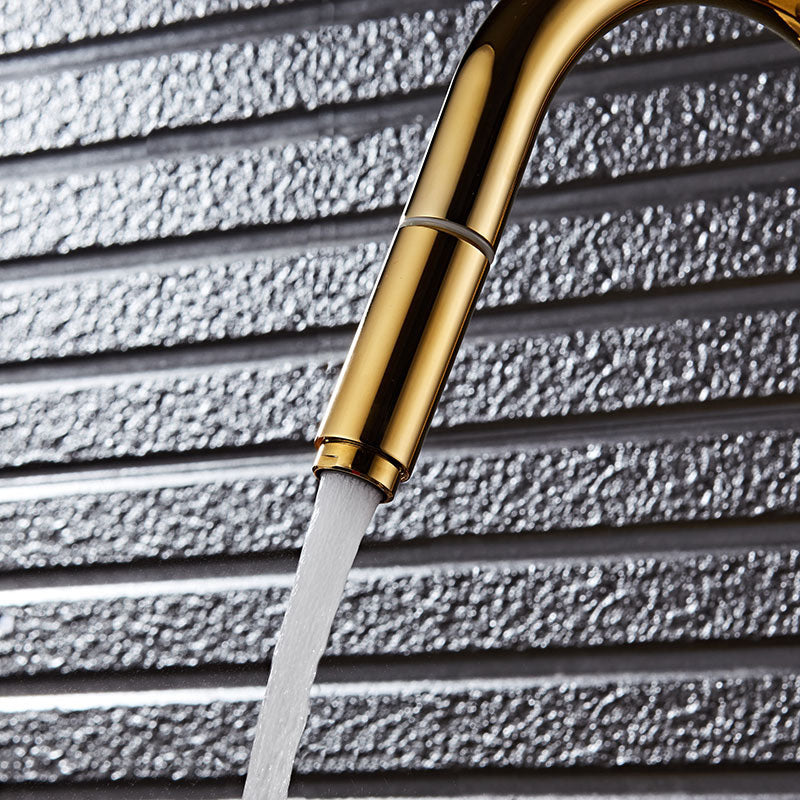 Single Hole Kitchen Faucet Metal Pull down Sprayer Kitchen Faucet with Lever Handle Clearhalo 'Home Improvement' 'home_improvement' 'home_improvement_kitchen_faucets' 'Kitchen Faucets' 'Kitchen Remodel & Kitchen Fixtures' 'Kitchen Sinks & Faucet Components' 'kitchen_faucets' 7050787