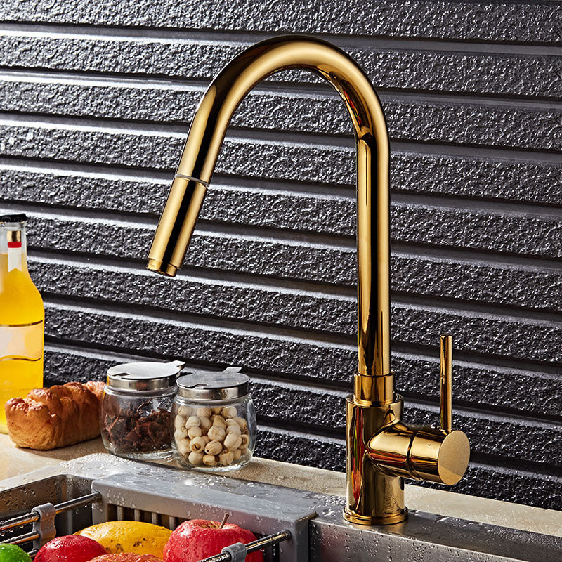 Single Hole Kitchen Faucet Metal Pull down Sprayer Kitchen Faucet with Lever Handle Clearhalo 'Home Improvement' 'home_improvement' 'home_improvement_kitchen_faucets' 'Kitchen Faucets' 'Kitchen Remodel & Kitchen Fixtures' 'Kitchen Sinks & Faucet Components' 'kitchen_faucets' 7050788